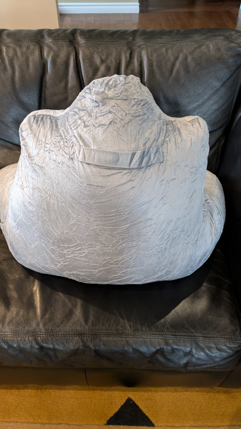 READING PILLOW (Brand New) - photo 3