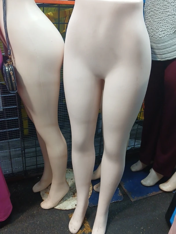 Mannequin Legs and Torso