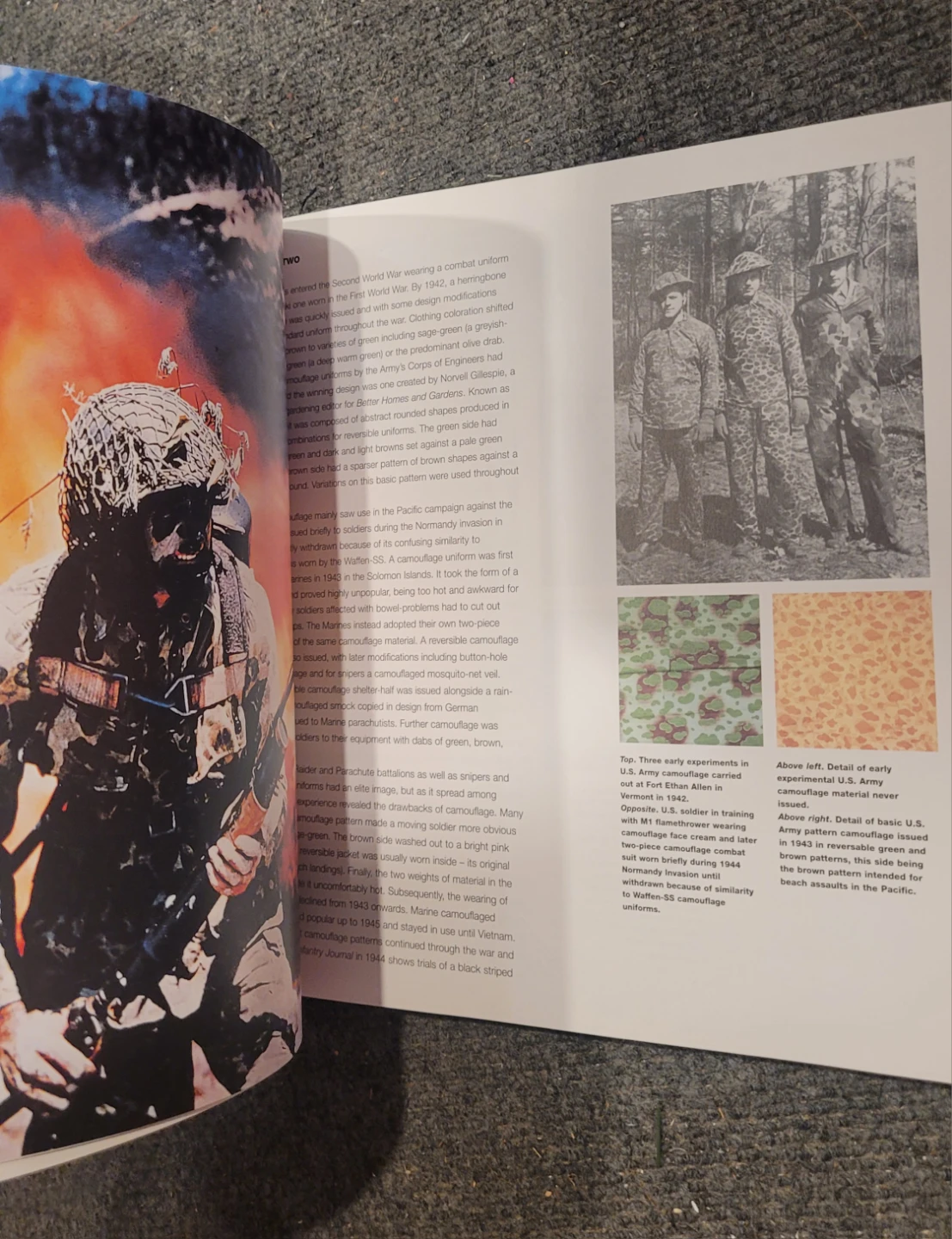 Brassy's Book of Camouflage - History of Camouflage - photo 2