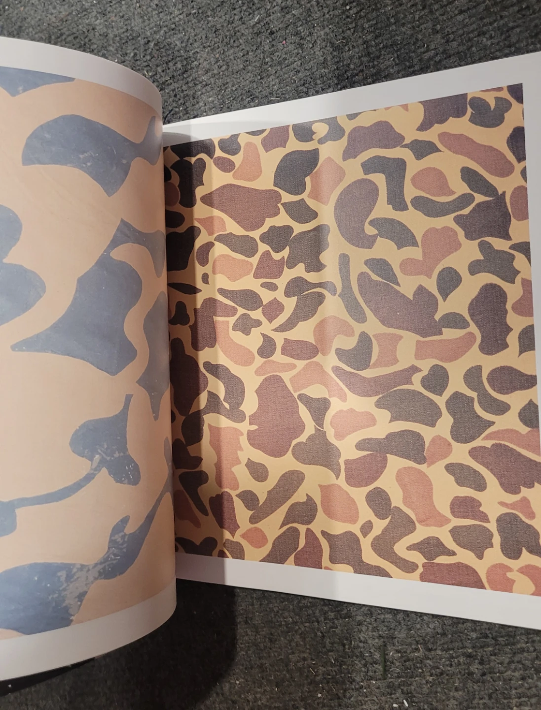 Brassy's Book of Camouflage - History of Camouflage - photo 4