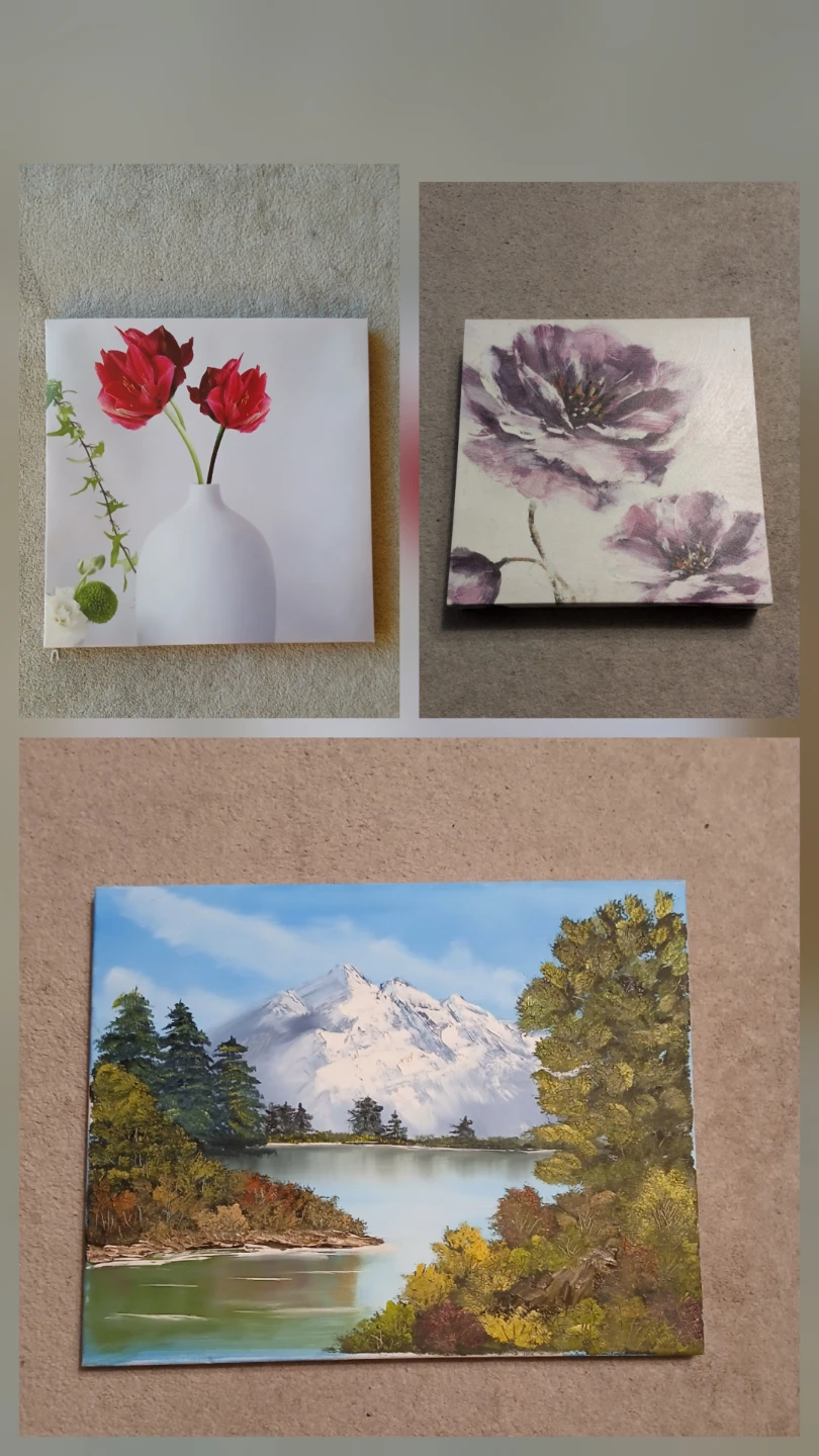 3 canvas paintings/prints