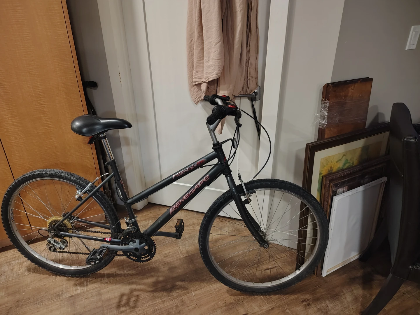 Mountain Lite Renegade Bike