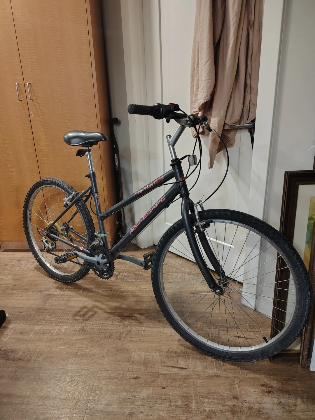 Mountain Lite Renegade Bike - photo 3