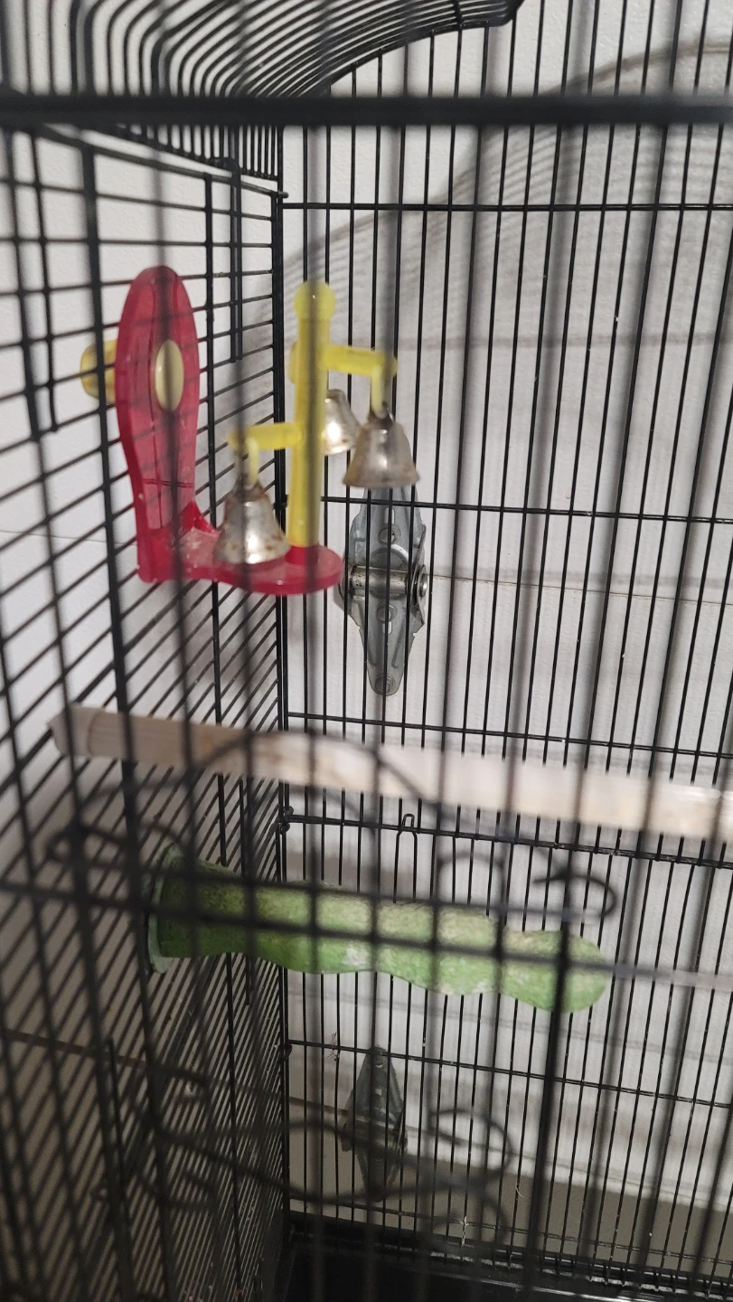 Black Bird Cage with Stand and Accessories - photo 3