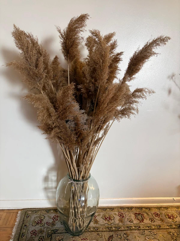 Large Dried Pampas Grass Arrangement