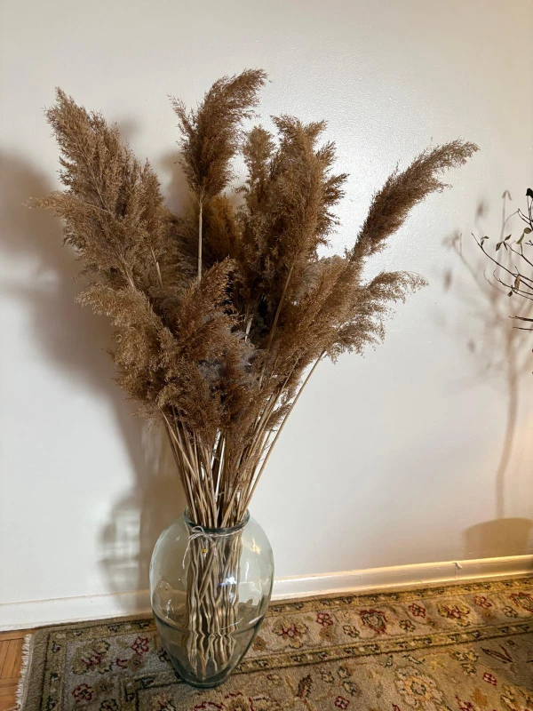 Large Dried Pampas Grass Arrangement - photo 2