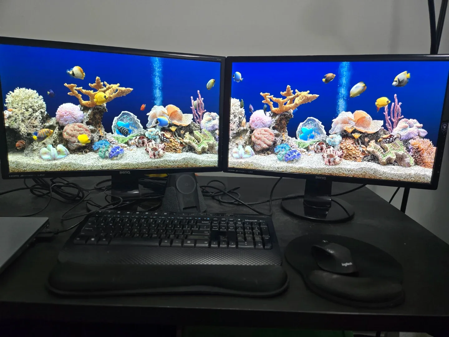 2x BenQ GL2460 Monitors $50