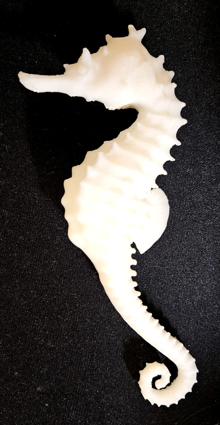 3x 3D Printed Dragon Skull + Ram Skull + Seahorse - photo 5
