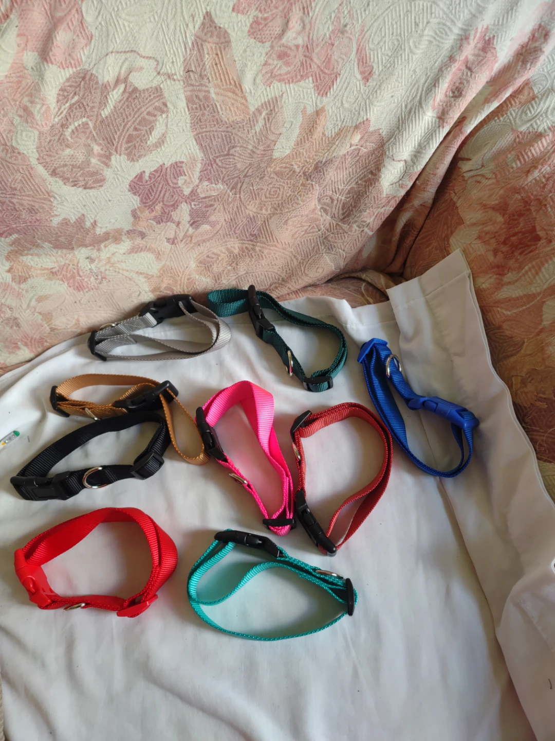 Large dog collars