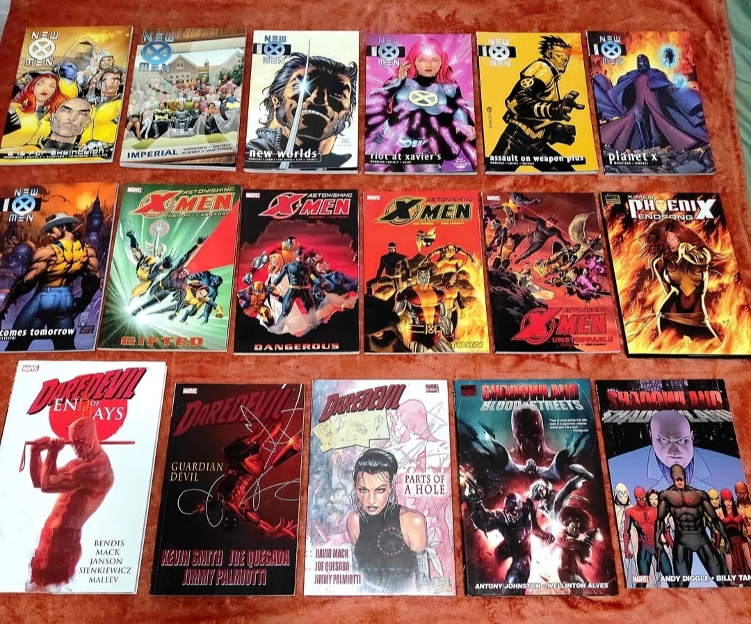 300+ Graphic Novels - Huge GN Collection - photo 3