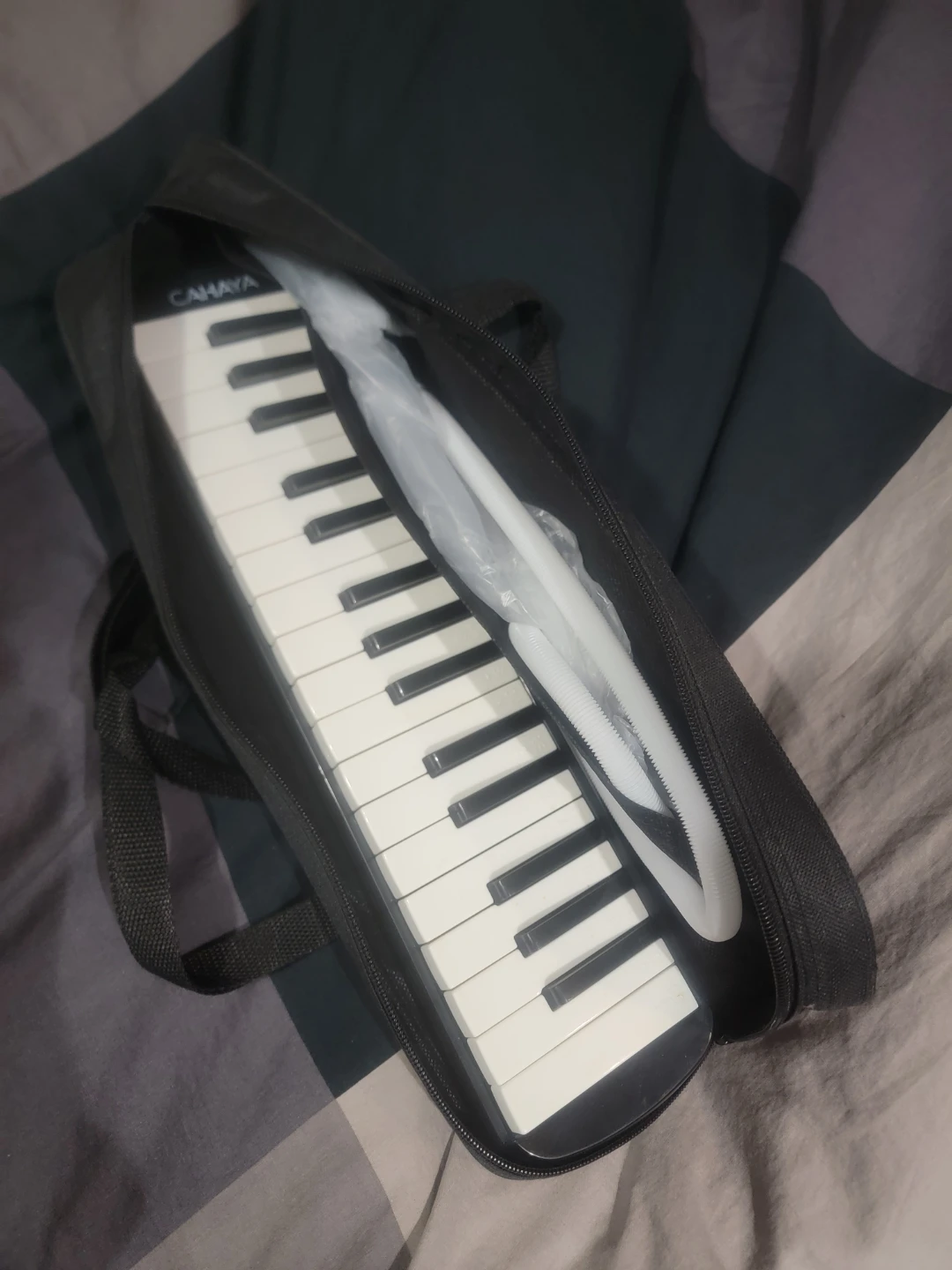 Cahaya Melodica with Case
