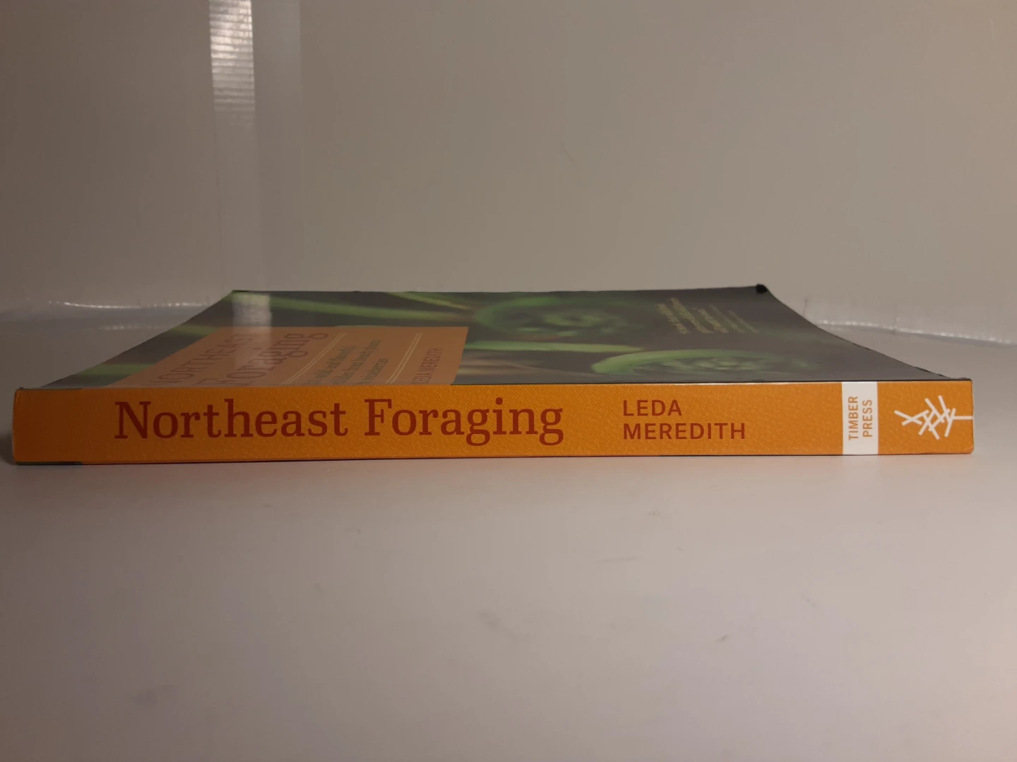 Northeast Foraging - photo 2