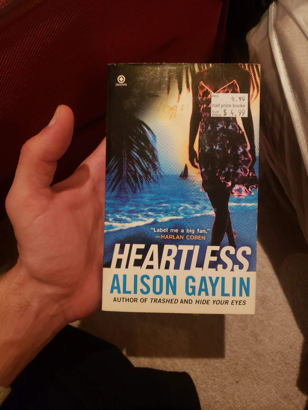 Heartless by Alison Gaylin Novel