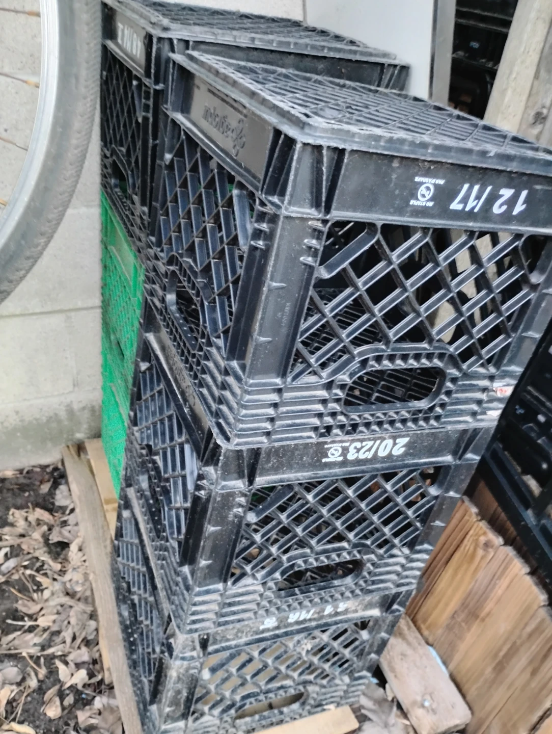 Milk Crates - Black & Green (6-12) - photo 2