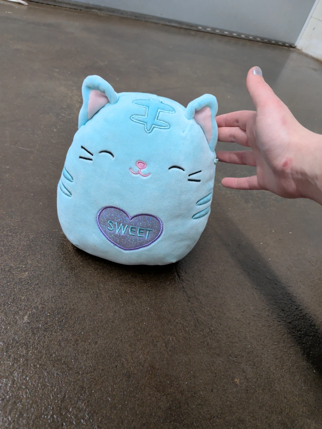 Blue Cat Squishmallow Plush