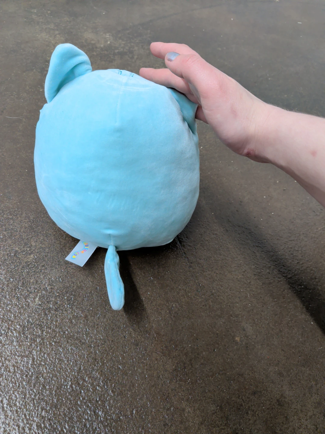 Blue Cat Squishmallow Plush - photo 2