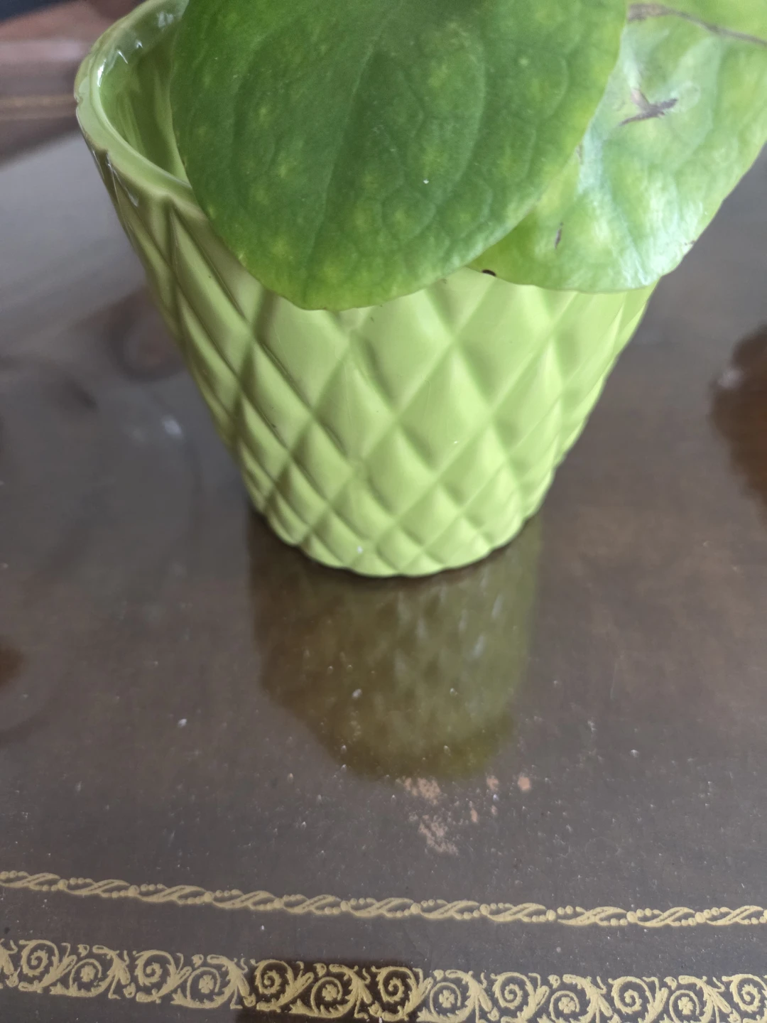 Green ceramic decorative pot