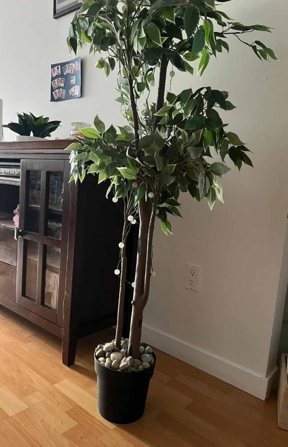 Artificial Ficus Tree