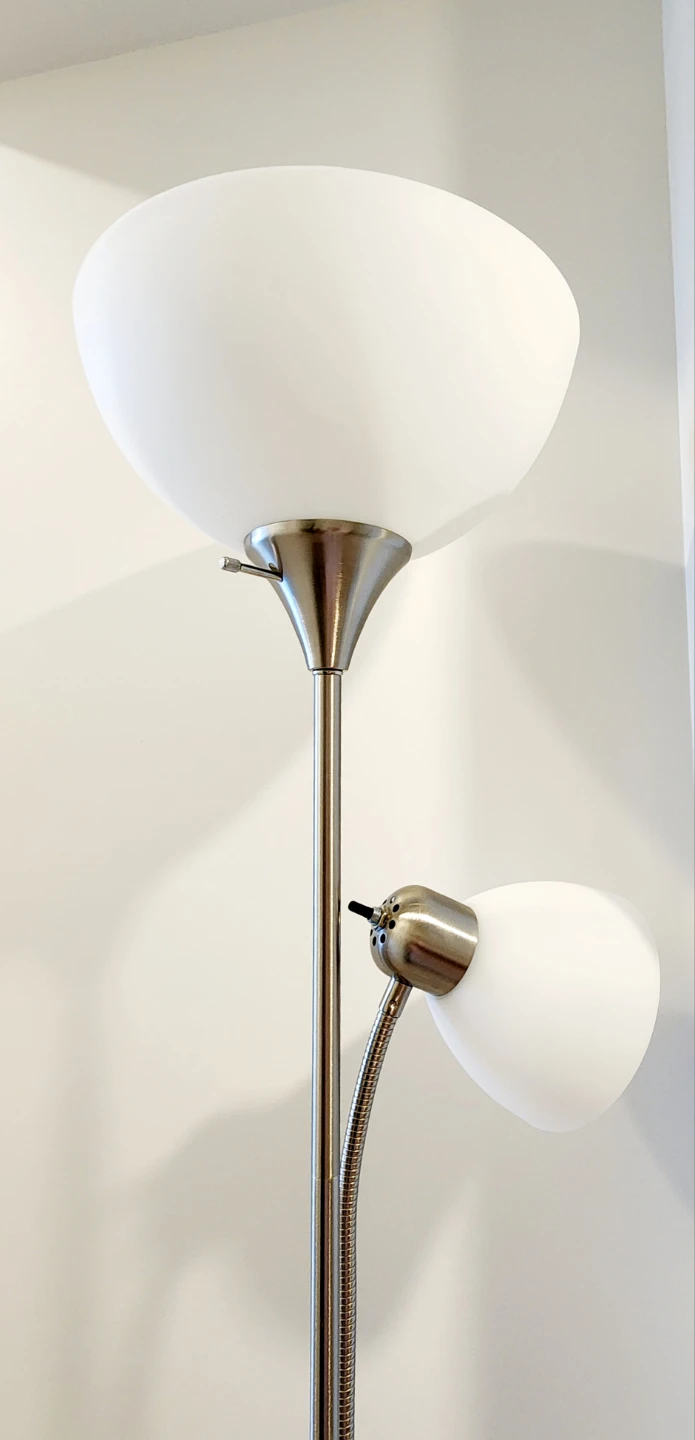 Floor Lamp with Reading Light
