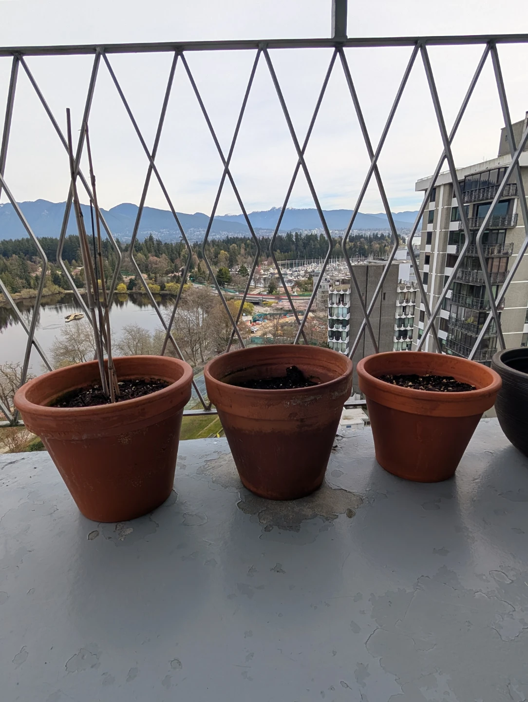 Five Plain Clay Pots w/ Plates and Soil