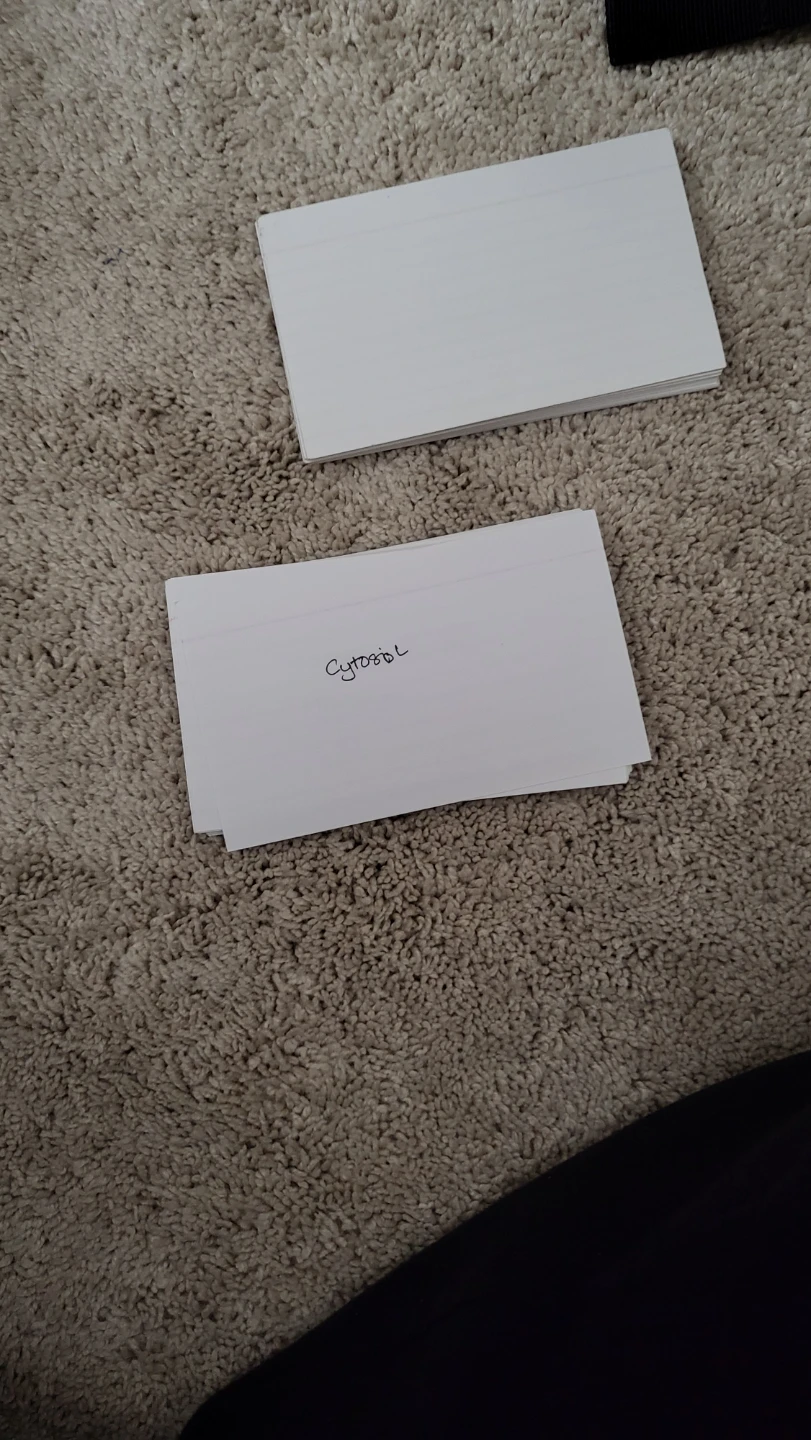 Cue Cards / Flashcards - photo 2