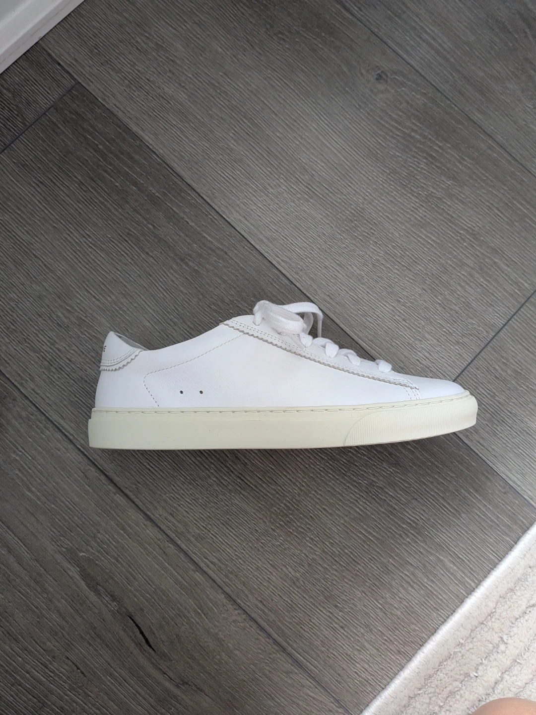 BRAND NEW Everlane THE DAY Sneakers - Never Worn - photo 3