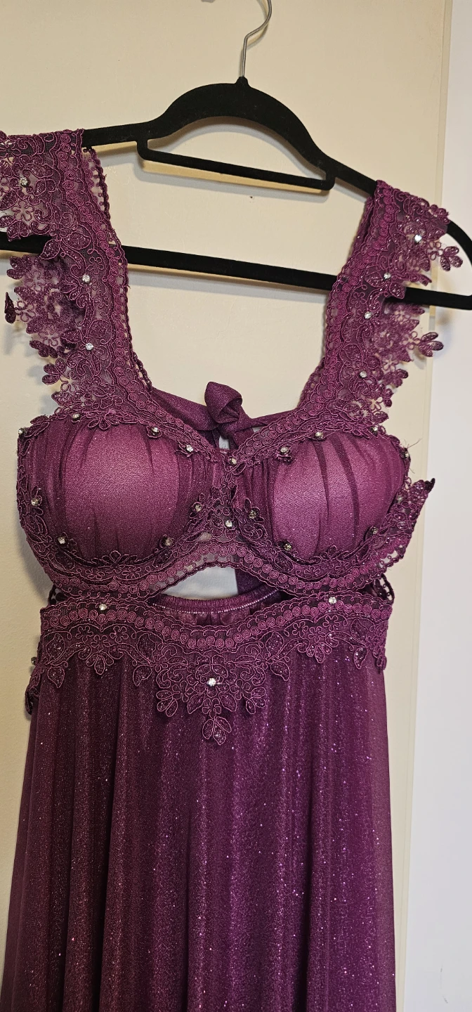 Purple Glittery Lace Dress