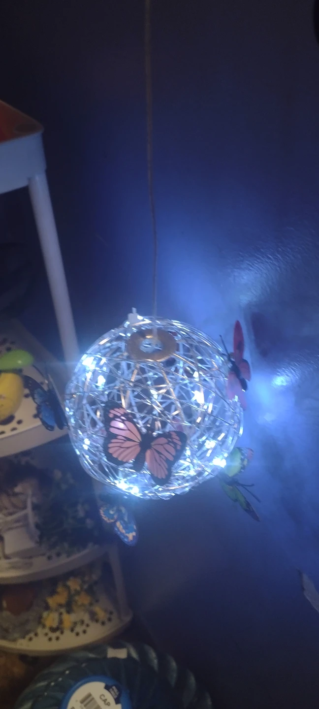 Decorative Light Orb with Butterflies