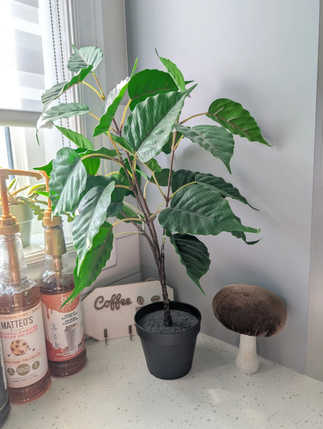 Artificial Ficus Plant in Black Pot - photo 2