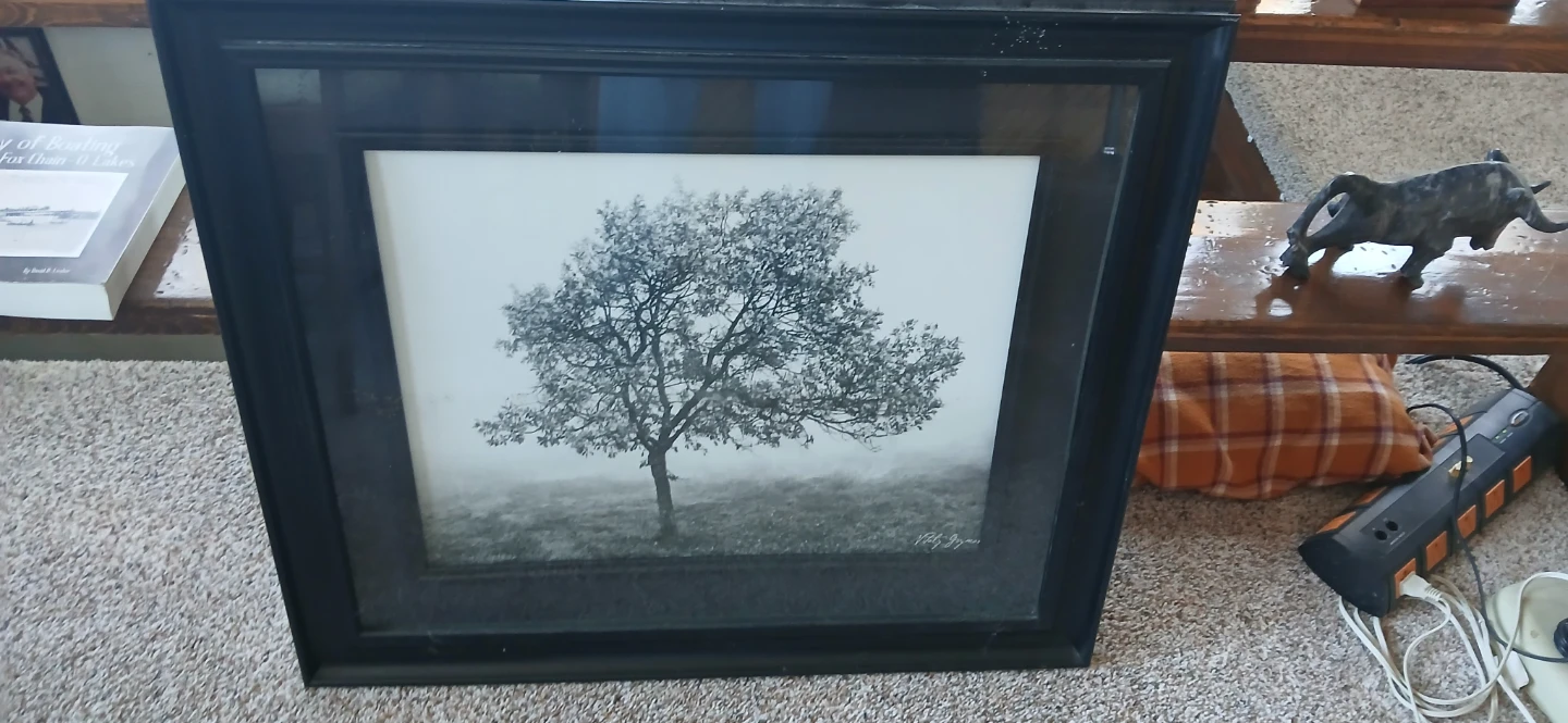 Framed Black and White Tree Landscape Art