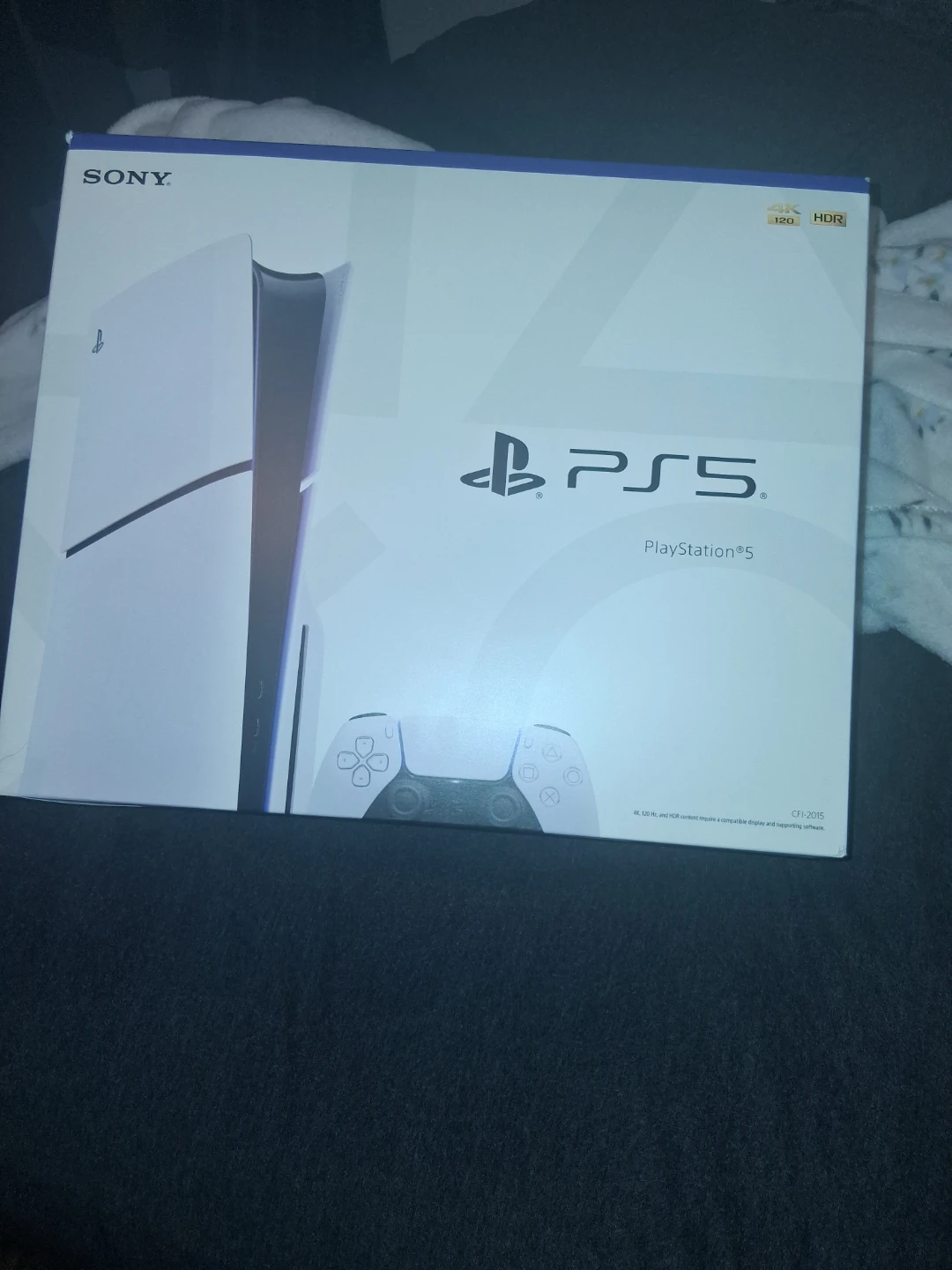 Ps5 disk