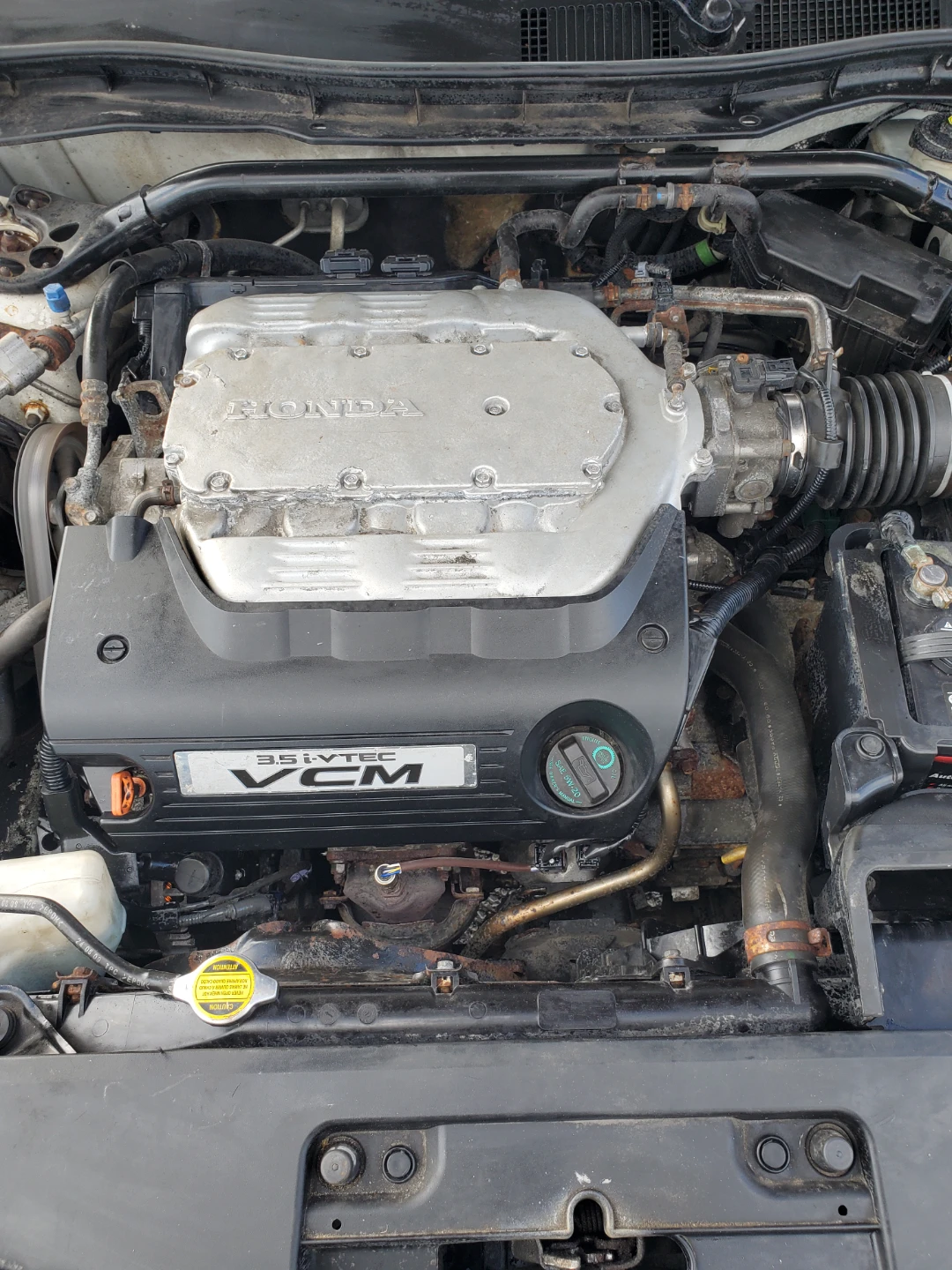 White Honda Accord Coupe 2008
