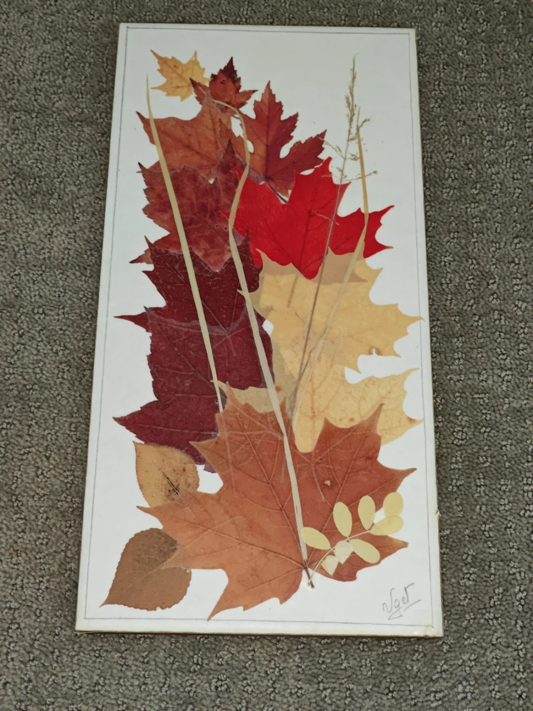Pressed Leaf Wall Art Autumn Harvest by UGET Originals - 7"x14"