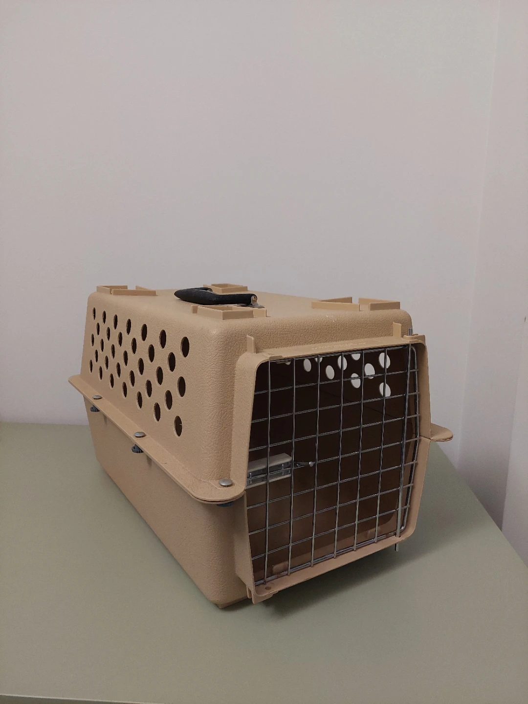 Small Pet Carrier