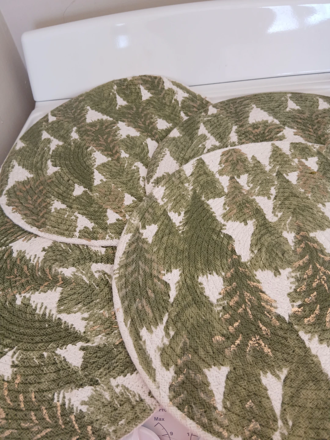 Rachel Zoe Placemats Set of 4 - Green Fern Pattern