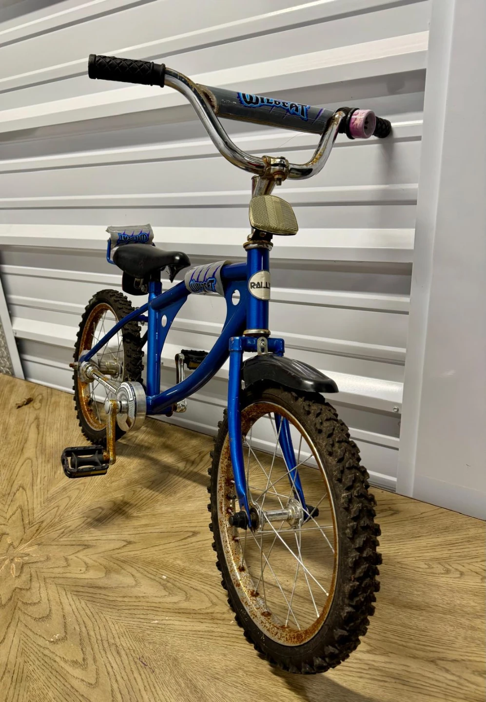 Wildcat Blue Kids Bicycle