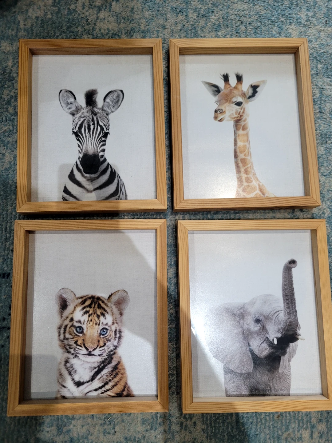 Set of 4 Framed Animal Prints (Tiger, Zebra, Giraffe, Elephant)