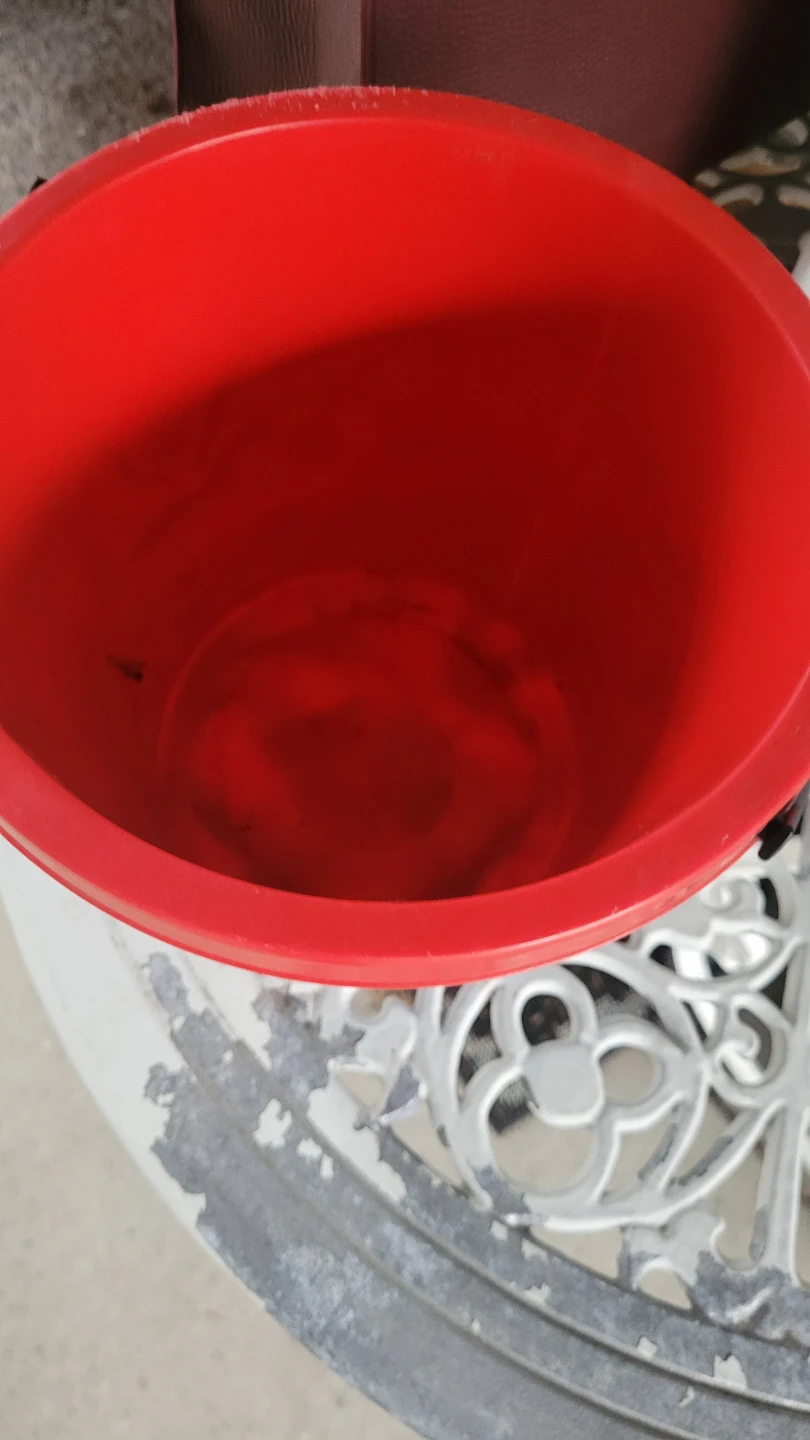 Spider-Man Halloween Treat Pail