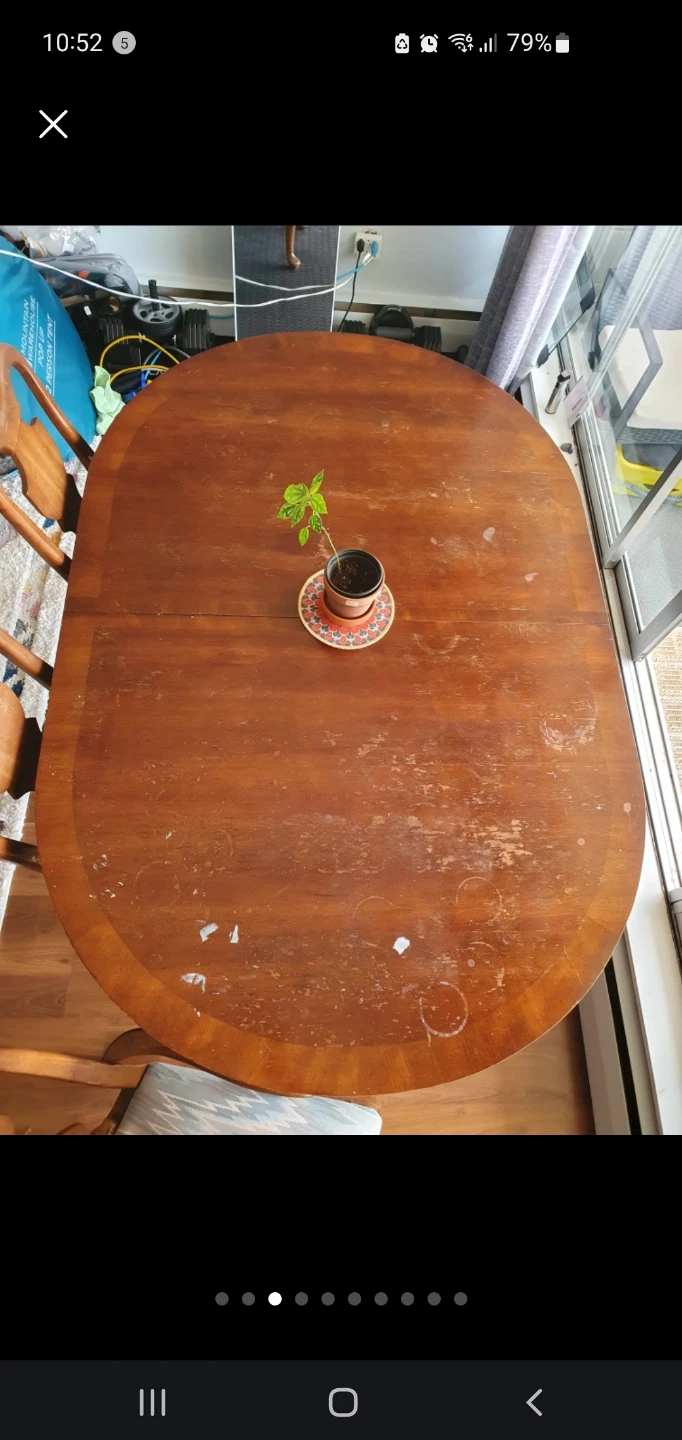 Solid Wood Extendable Dining Set–10 Seater– Refinishing Project - photo 5