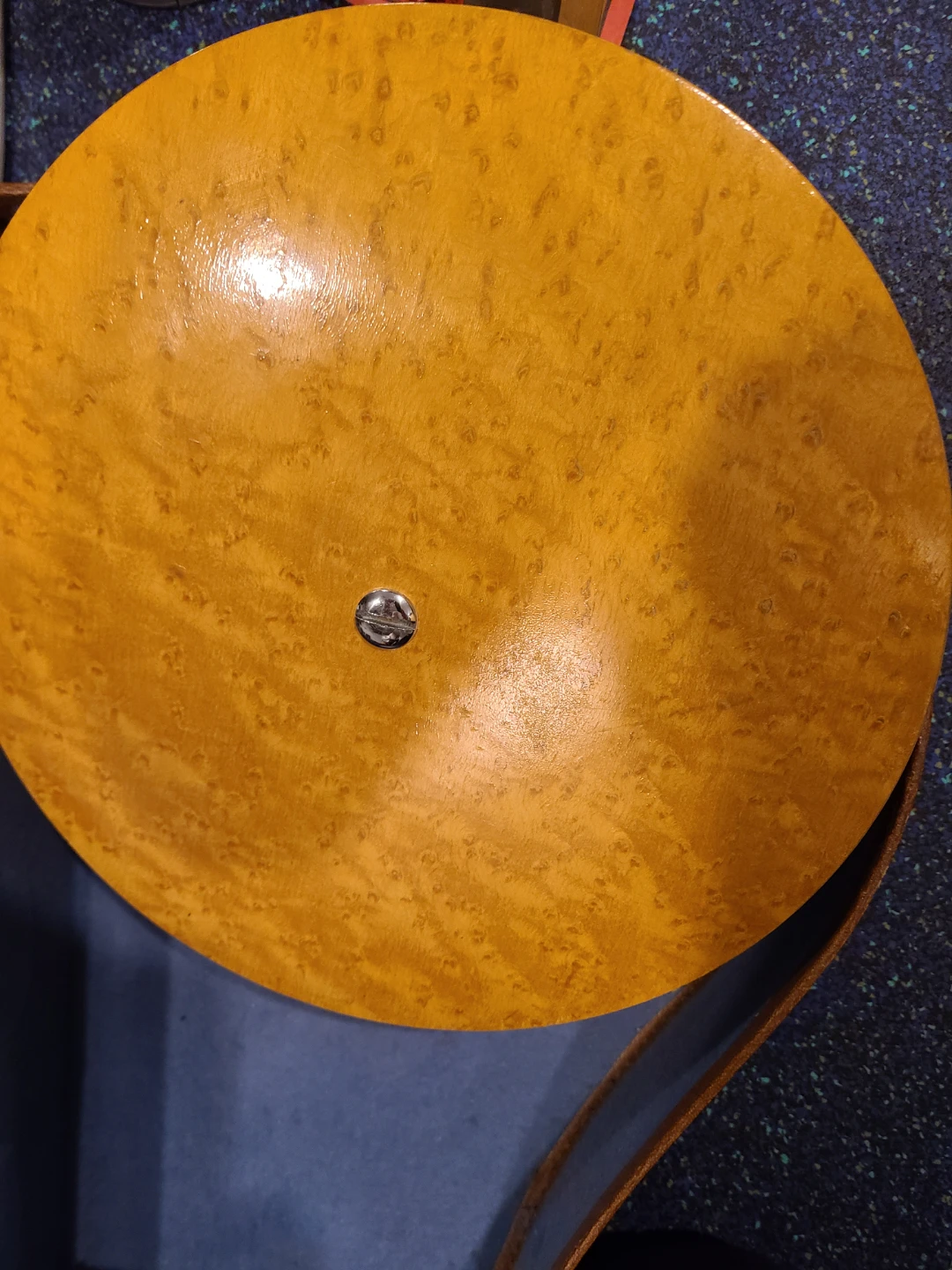 Vintage Michigan Banjo with Case and Strings - photo 4