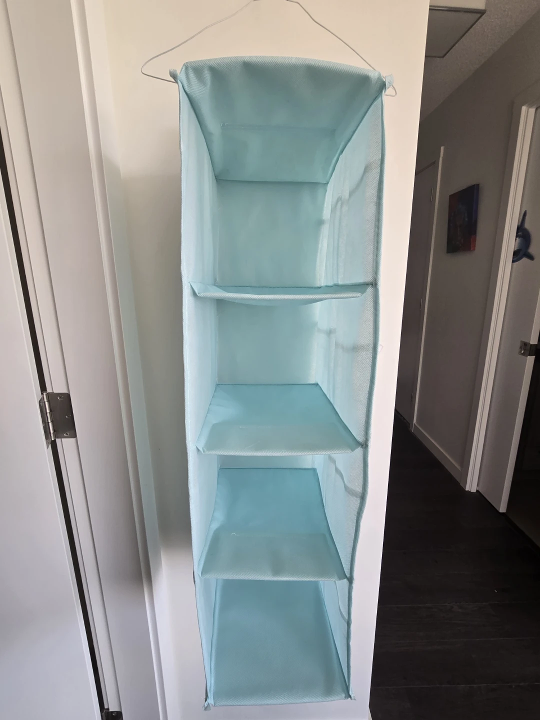 Free storage organizer