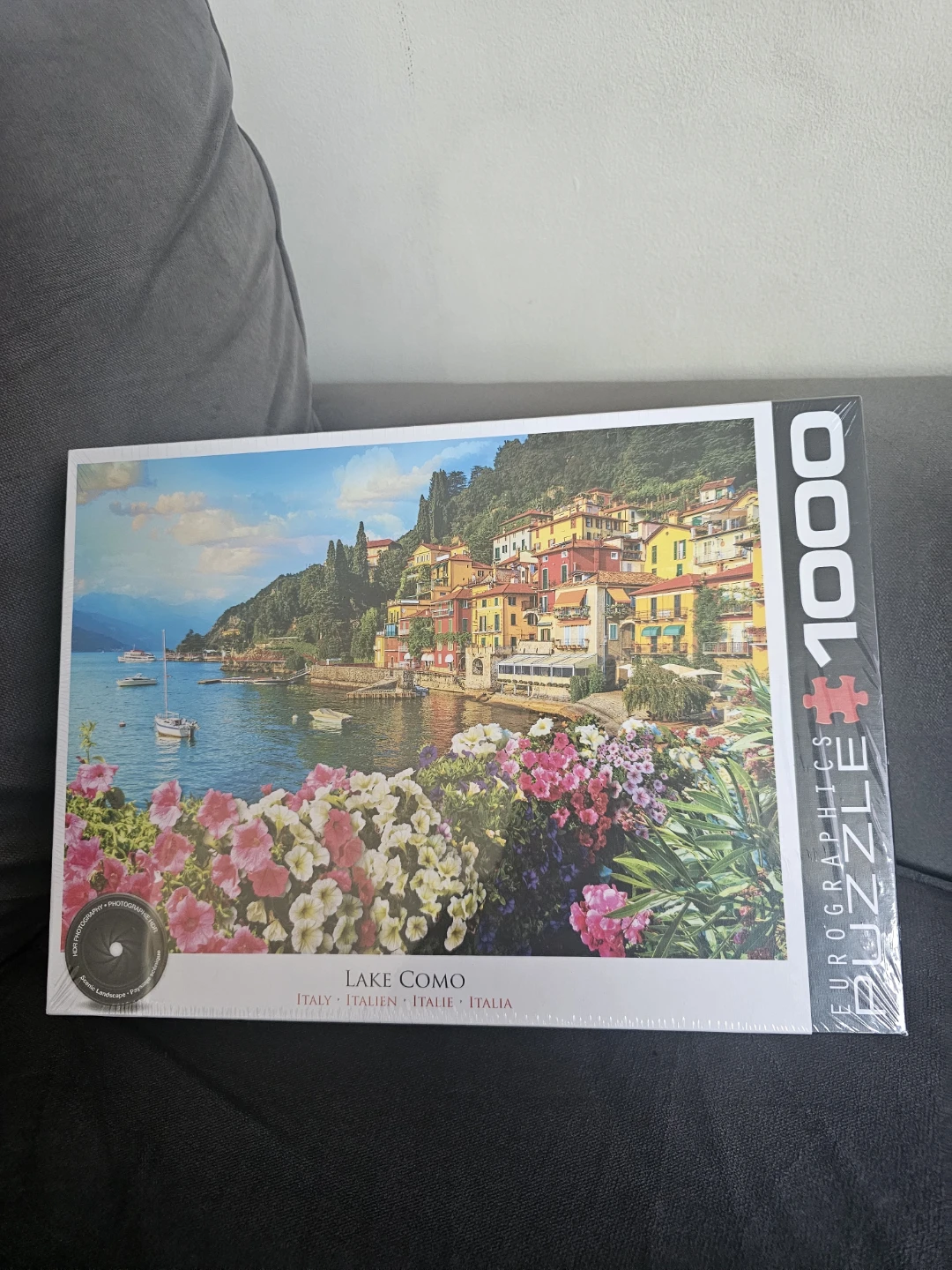 Eurographics Lake Como, Italy 🇮🇹 Jigsaw Puzzle 🧩 🌱
