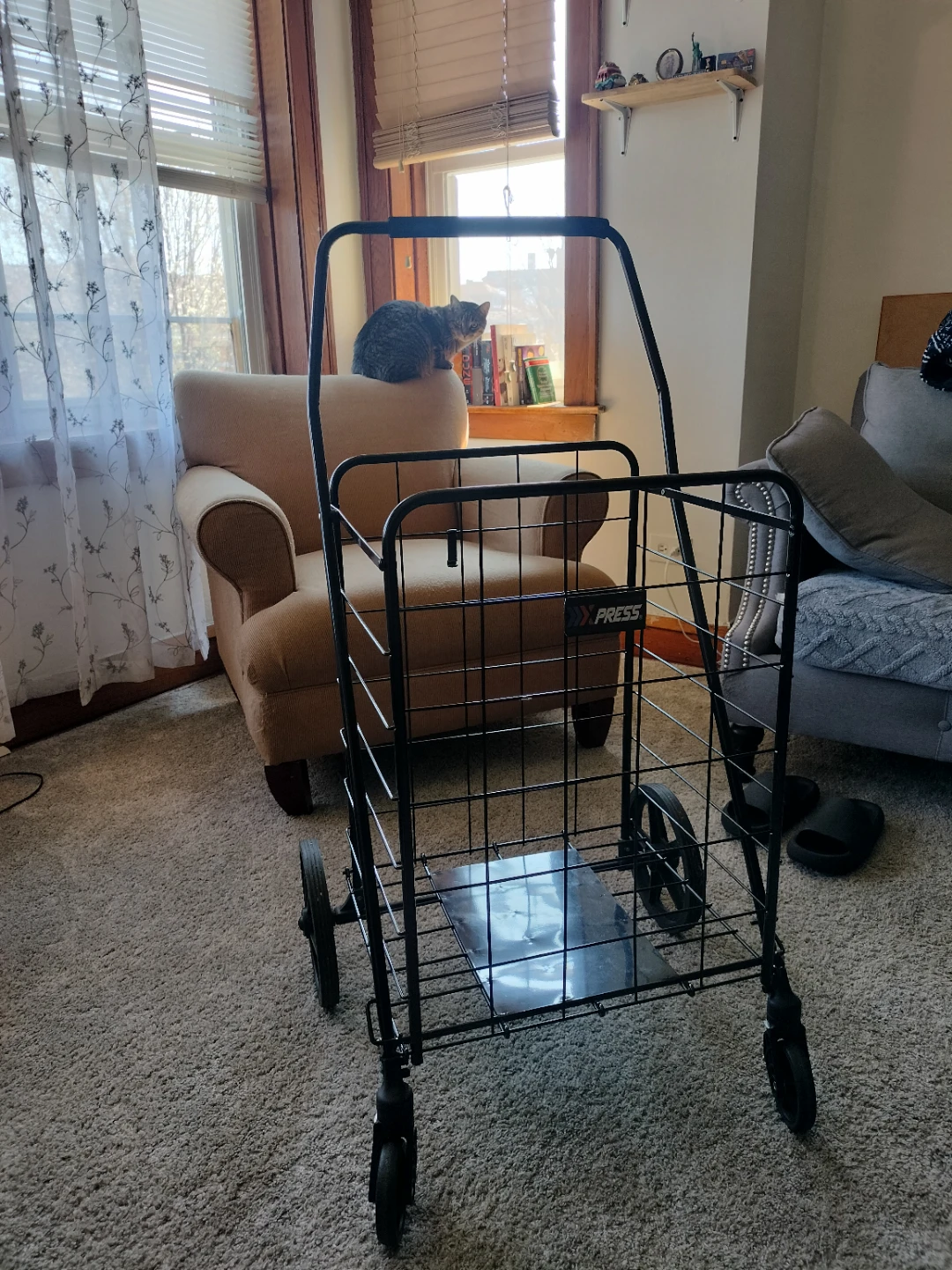 Black Rolling Shopping Cart