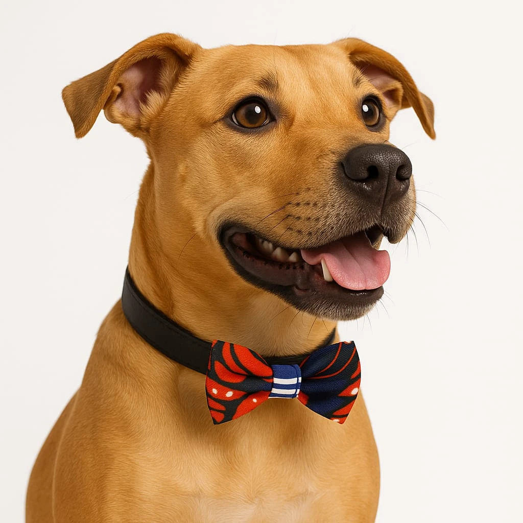 Dog Bow Tie Collar Accessories - photo 3
