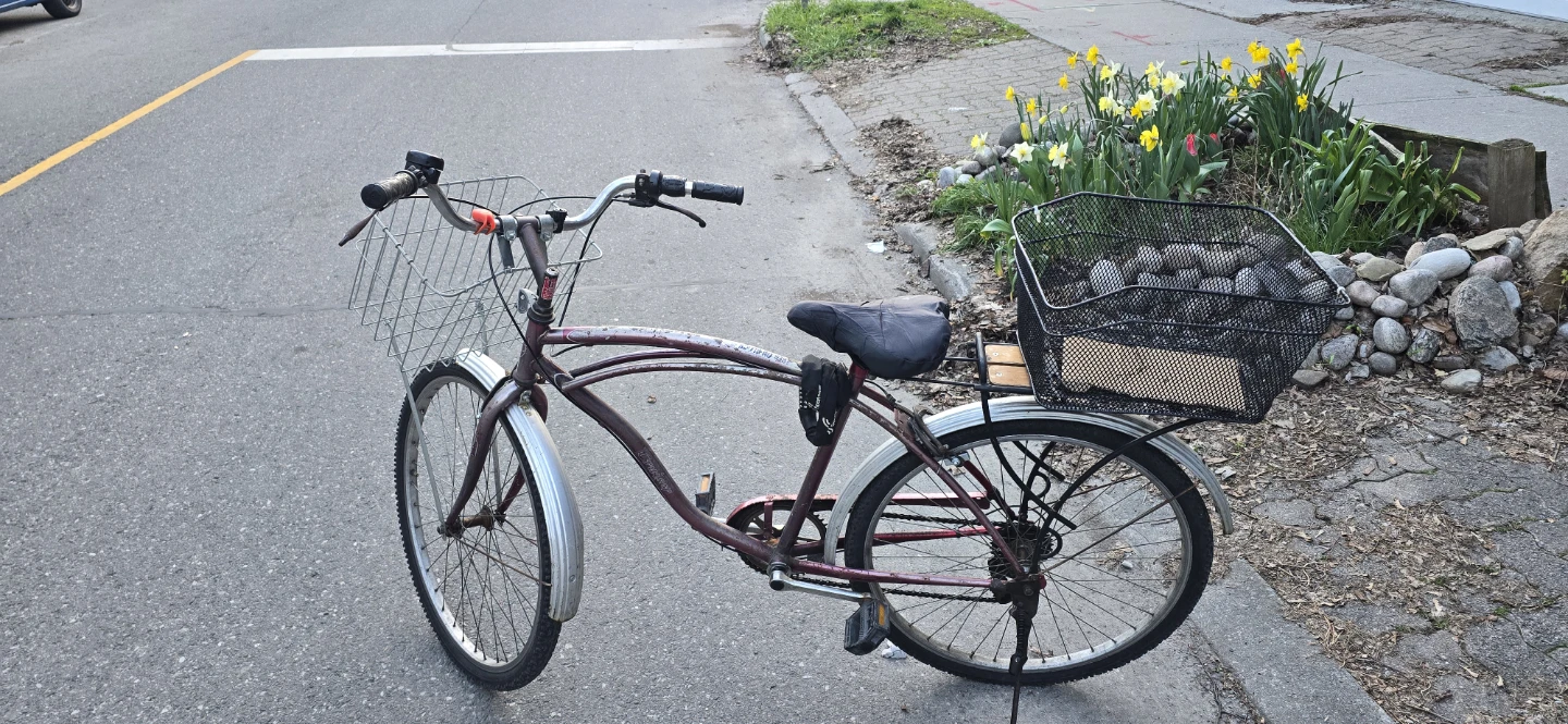 Cruiser Bicycle with Front and Rear Baskets - photo 2