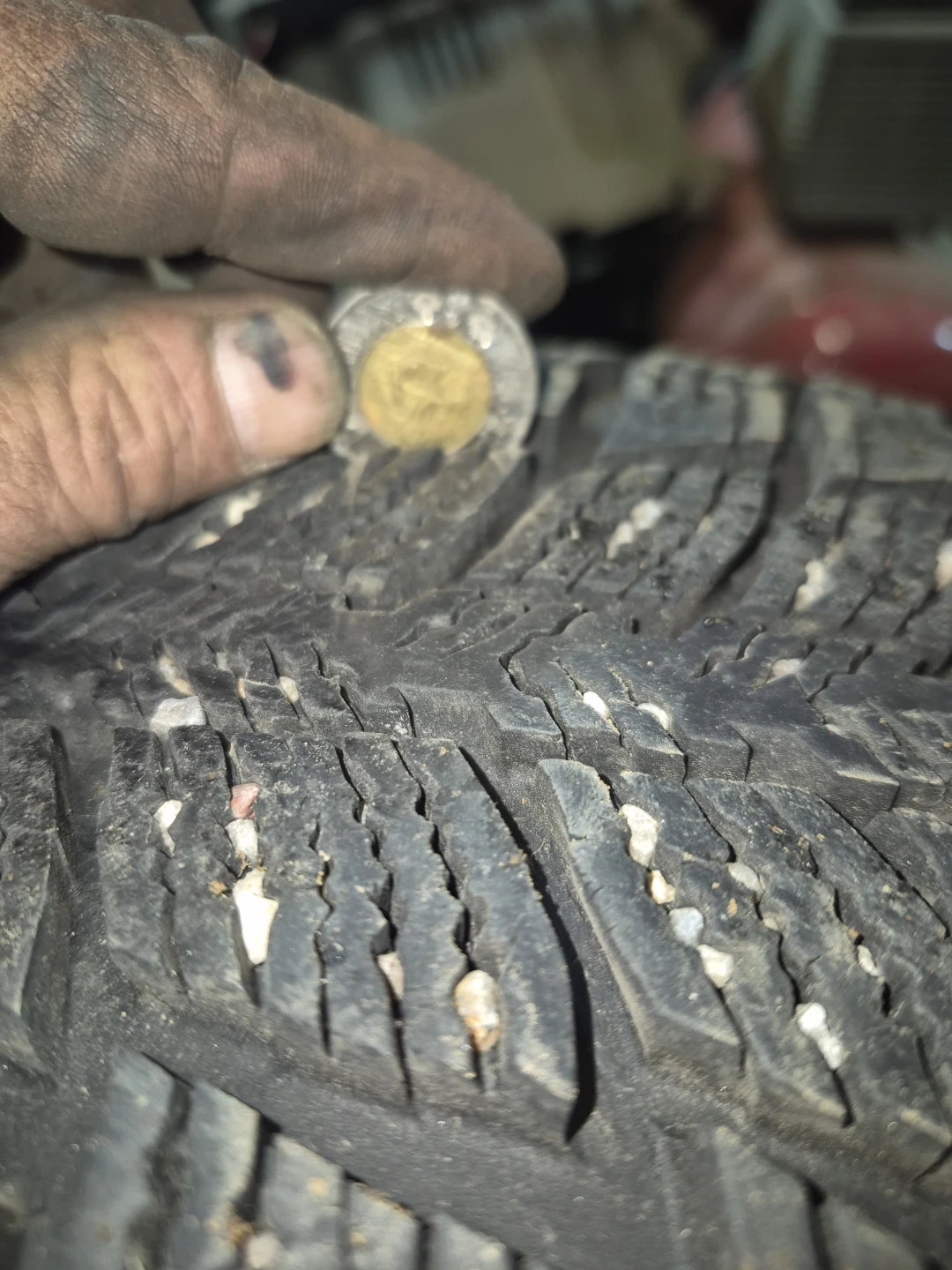 1 only 215/55R17 federal winter grip - photo 2