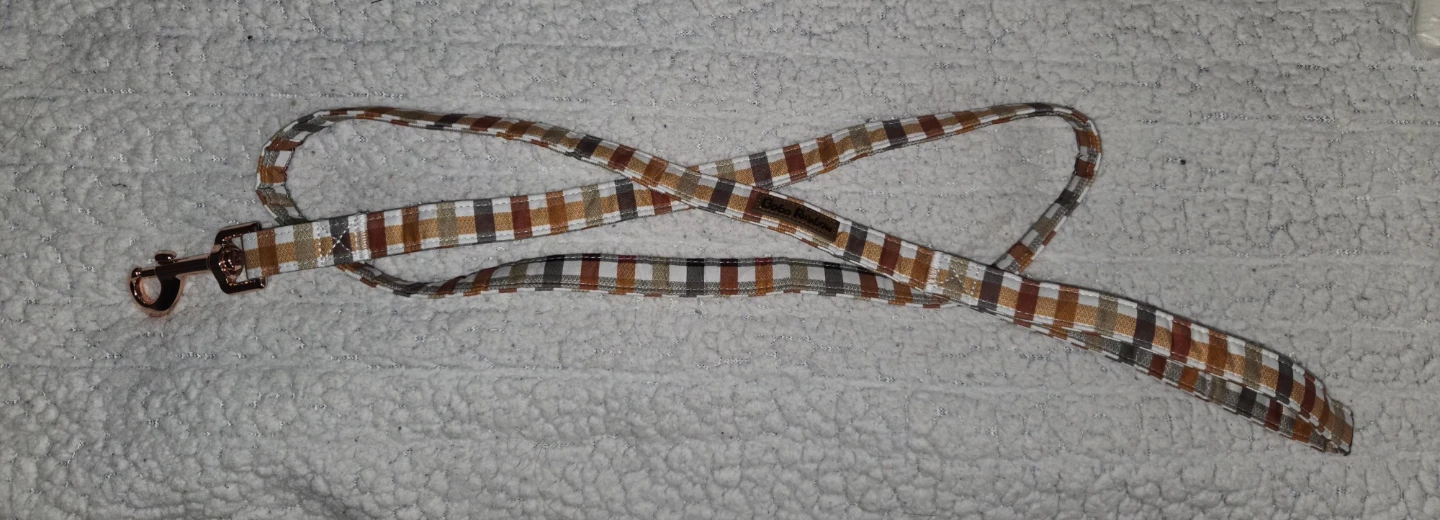 Dog Leash (Size S) - photo 2