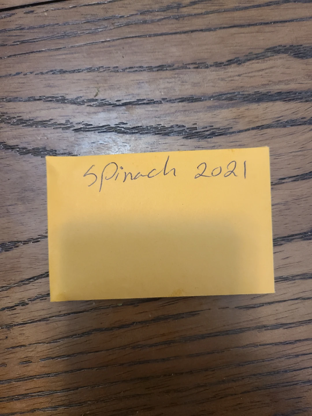 Spinach Seeds (2021 Harvest)