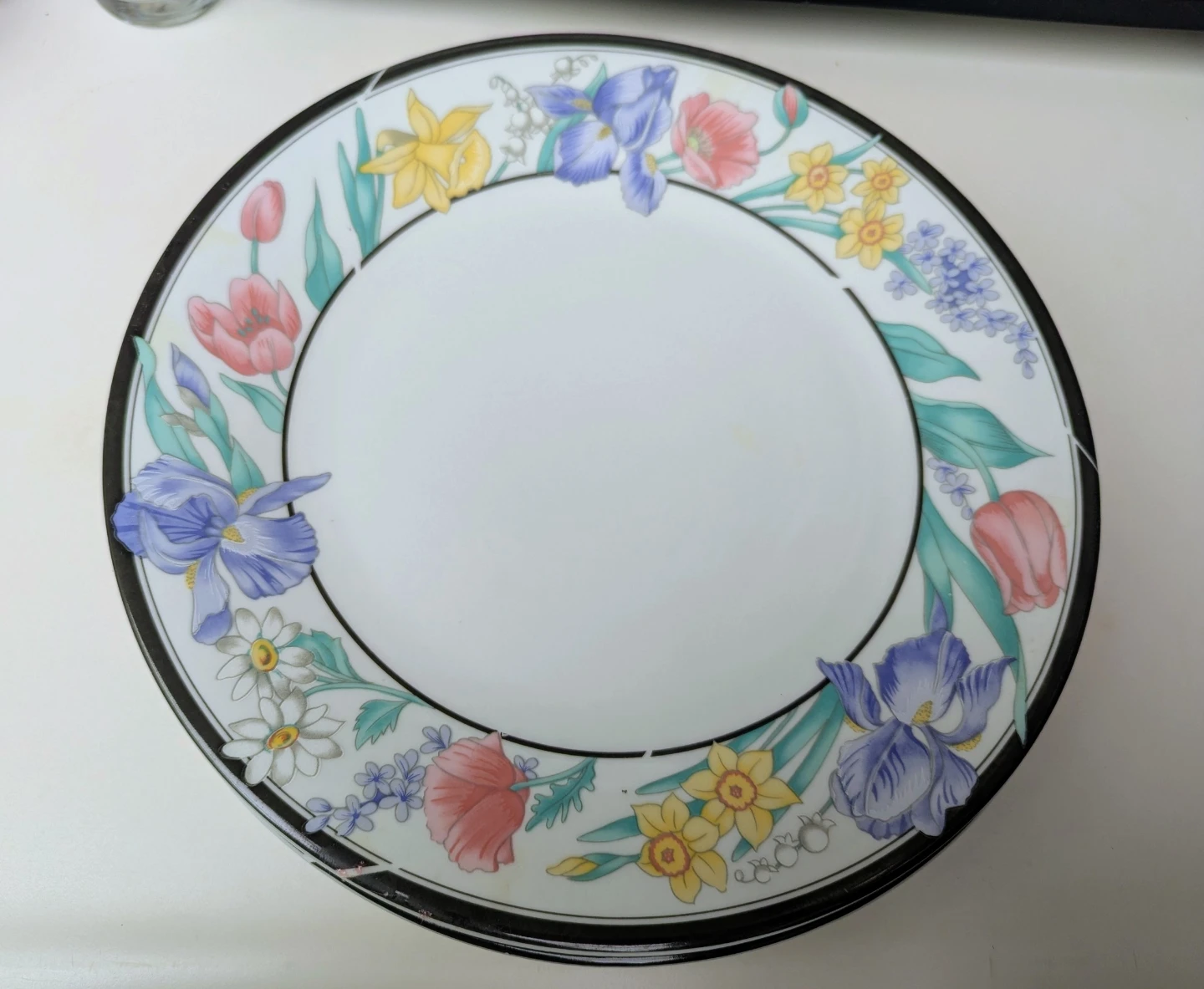 New Large Fine China Plates (4)