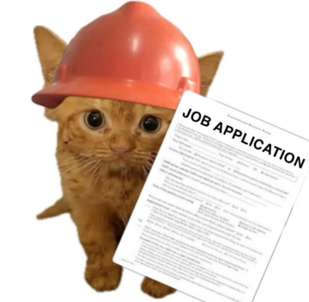 LOOKING FOR WORK !!!
